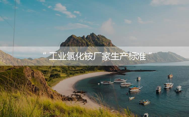 工業(yè)氯化銨廠家生產(chǎn)標(biāo)準(zhǔn)，生產(chǎn)過程進(jìn)行嚴(yán)密的監(jiān)控！